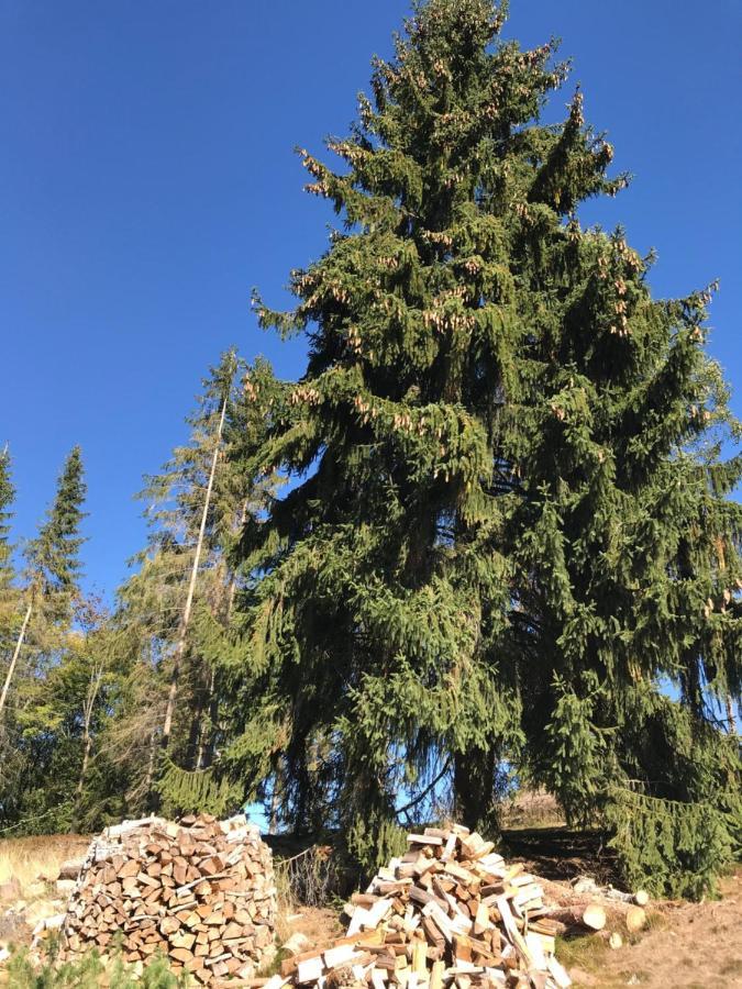 Roubenky Bublava Villa Bagian luar foto
